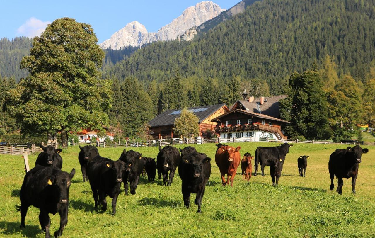 Hotel Laerchenhof Ramsau am Dachstein Exterior photo